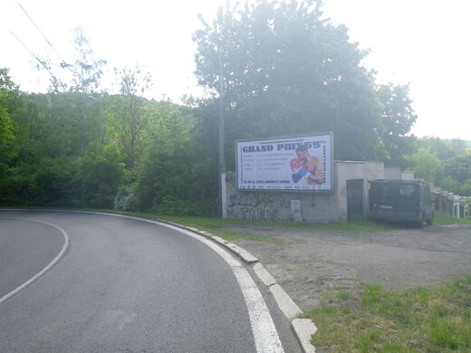 6877.JPG